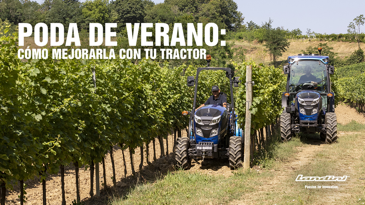 Poda de verano: cómo mejorarla con tu tractor