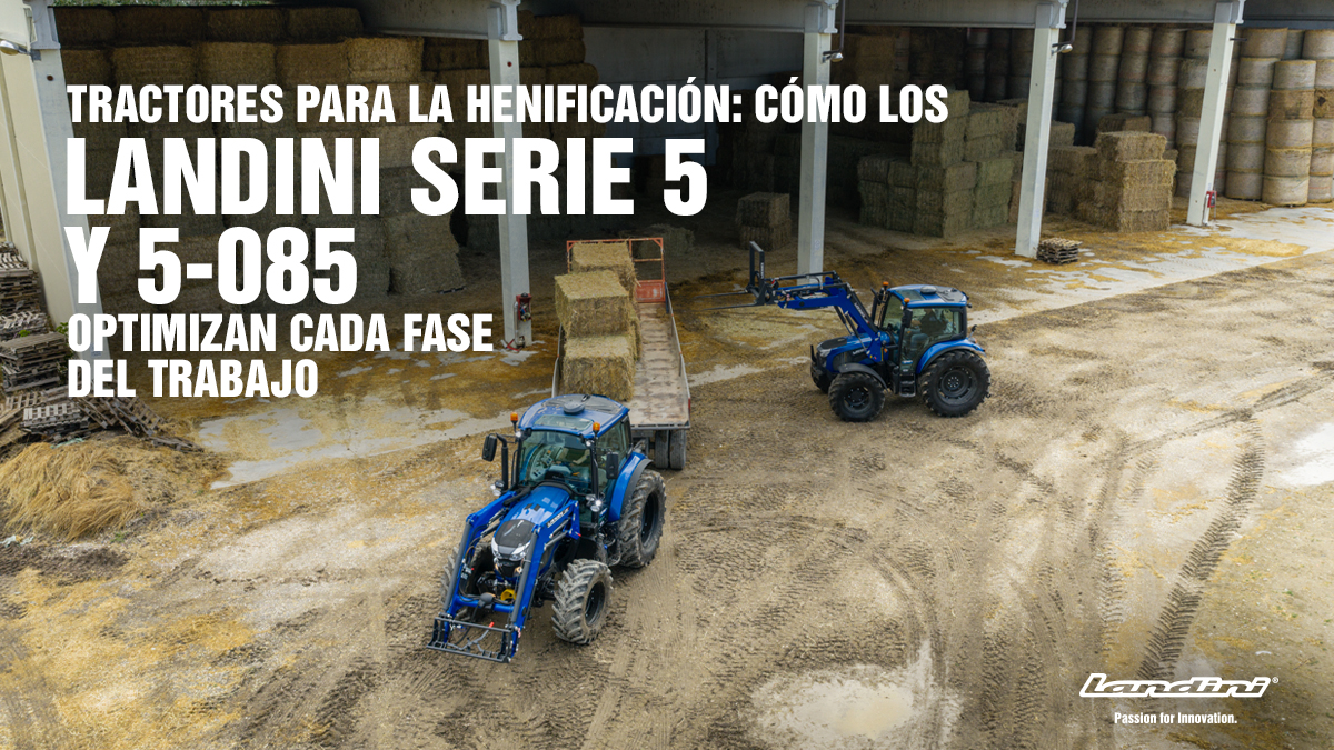 Tractores para la henificación: cómo la Serie 5 y el 5-085 de Landini optimizan cada fase del trabajo