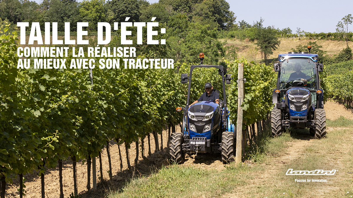 Taille d’été : comment la réaliser au mieux avec son tracteur