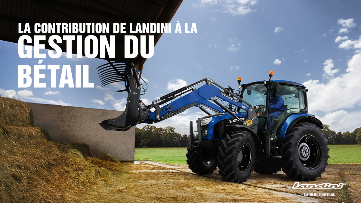 La contribution de Landini à la gestion du bétail