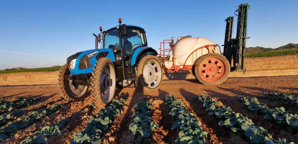 Nuove colture agricole: ecco le più interessanti e redditizie